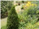 19 Roberts Road, Stanthorpe QLD 4380