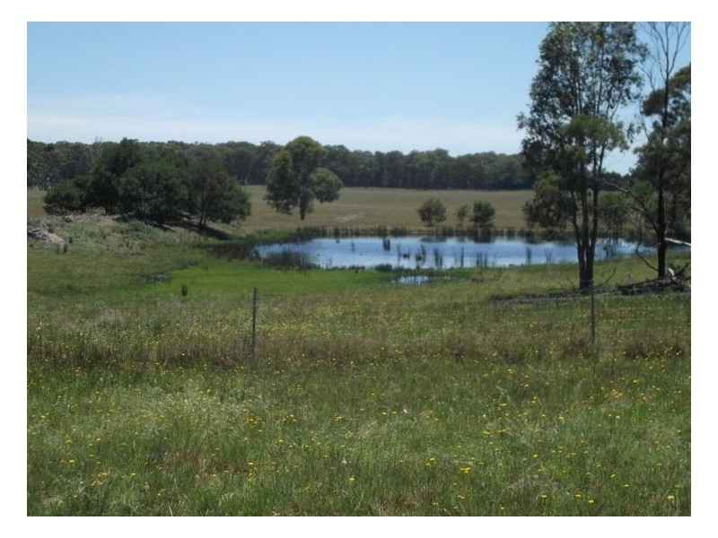 263 Rivertree Road, Liston NSW 2372