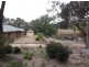 184 Caves Road, Stanthorpe QLD 4380