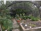 184 Caves Road, Stanthorpe QLD 4380
