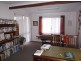 223 Back Creek Road, Stanthorpe QLD 4380