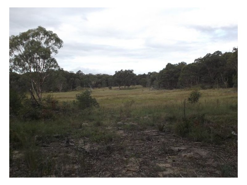 78 Maryland Road, Stanthorpe QLD 4380