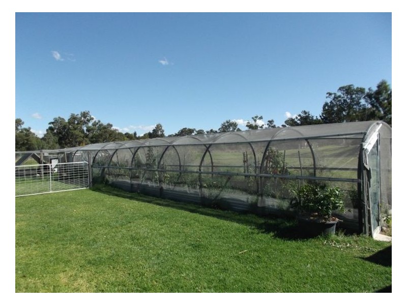 24 Bau Court, Applethorpe QLD 4378