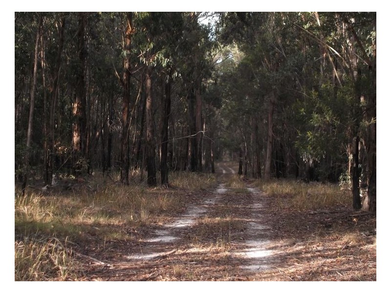 Lot 4 Mt Norman Road, Eukey QLD 4380