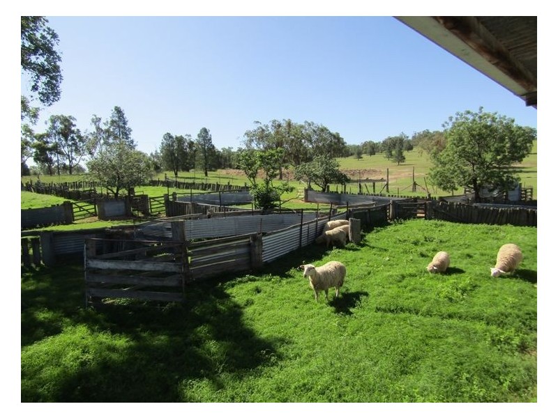 6281 Texas Road, Glenlyon QLD 4380