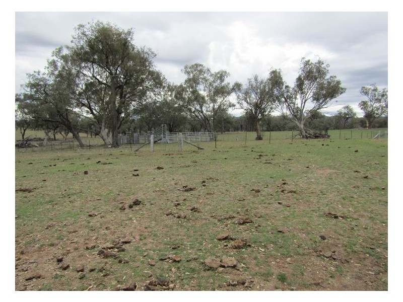 6281 Texas Road, Glenlyon QLD 4380