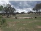 6281 Texas Road, Glenlyon QLD 4380