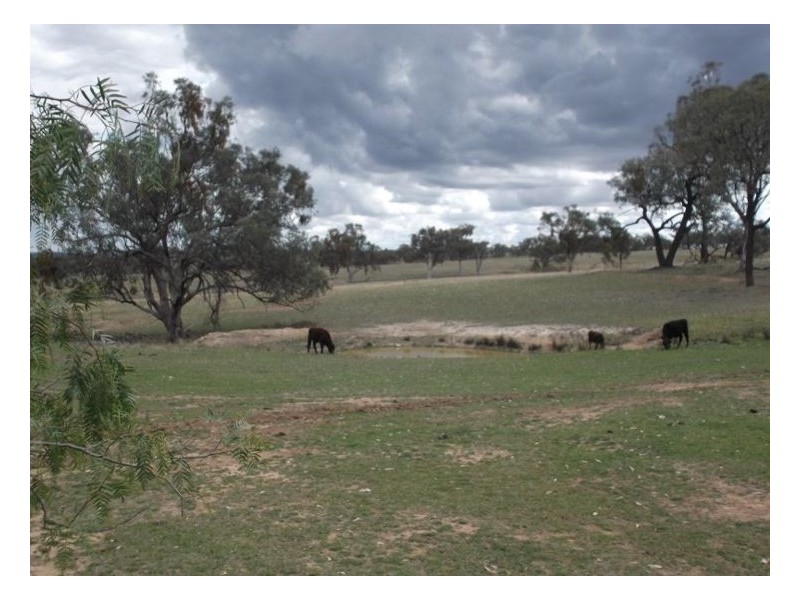 6281 Texas Road, Glenlyon QLD 4380