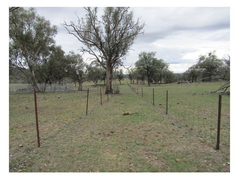 6281 Texas Road, Glenlyon QLD 4380