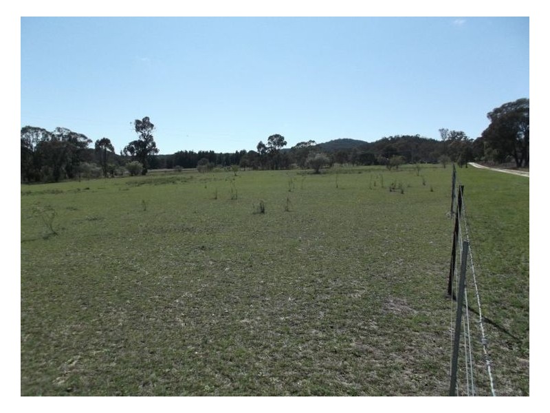 409 Whiskey Gully Road, Stanthorpe QLD 4380