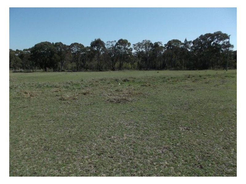 409 Whiskey Gully Road, Stanthorpe QLD 4380
