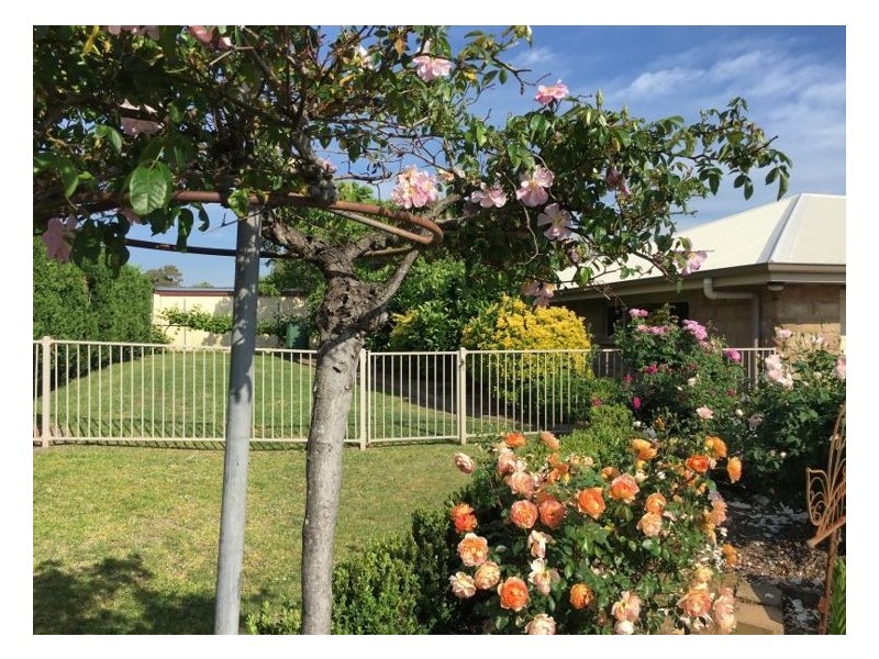8a Bridge Street, Stanthorpe QLD 4380