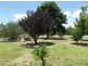 141 Aerodrome Road, Stanthorpe QLD 4380