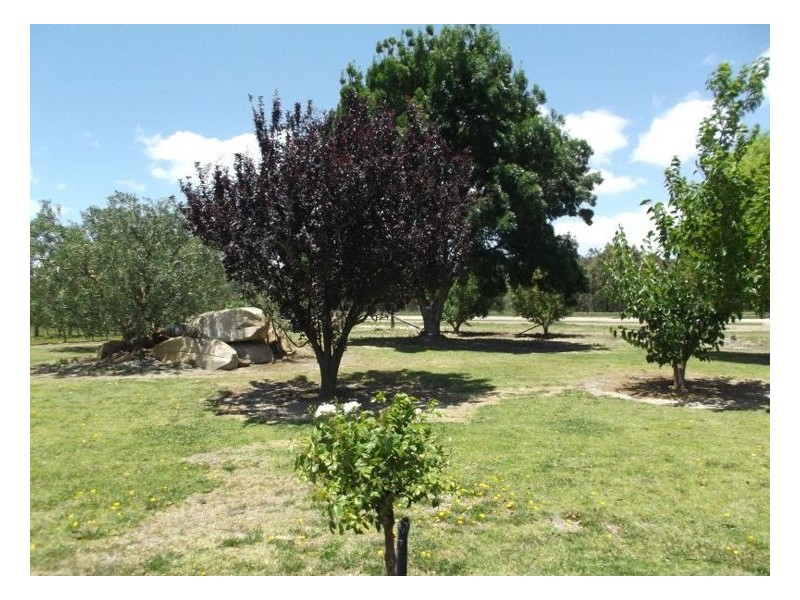 141 Aerodrome Road, Stanthorpe QLD 4380