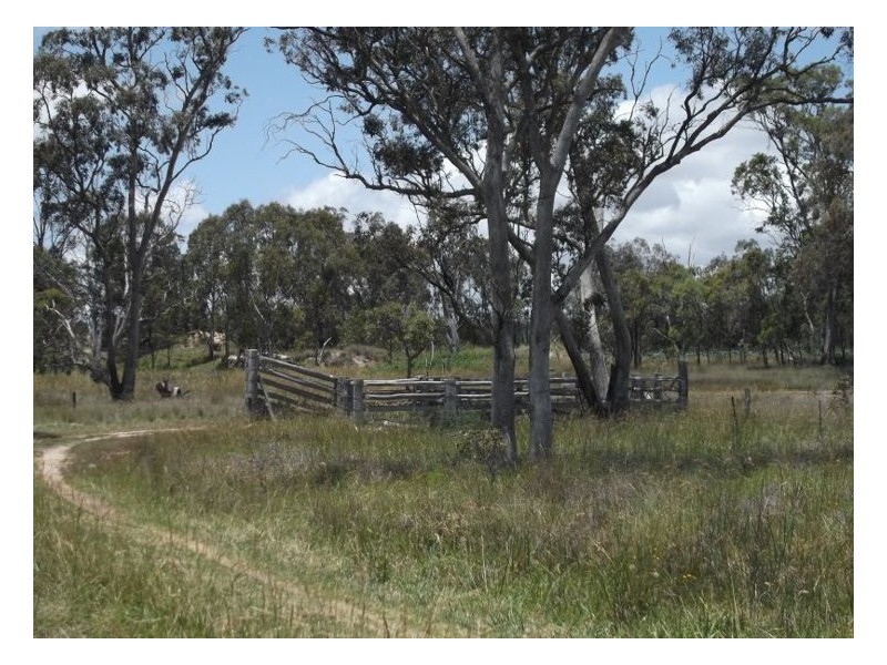 141 Aerodrome Road, Stanthorpe QLD 4380