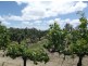 141 Aerodrome Road, Stanthorpe QLD 4380