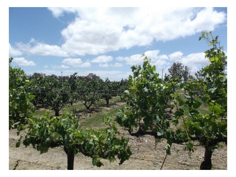 141 Aerodrome Road, Stanthorpe QLD 4380