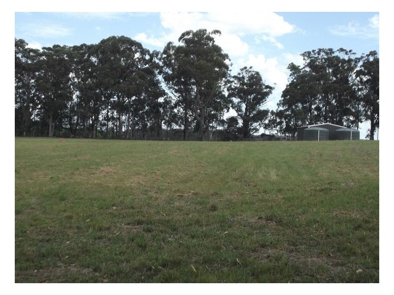 281 Rivertree Road, Liston NSW 2372