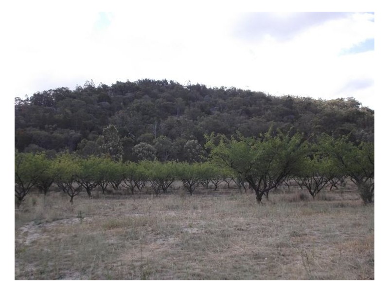 Lot 96 McDonagh Road, Ballandean QLD 4382