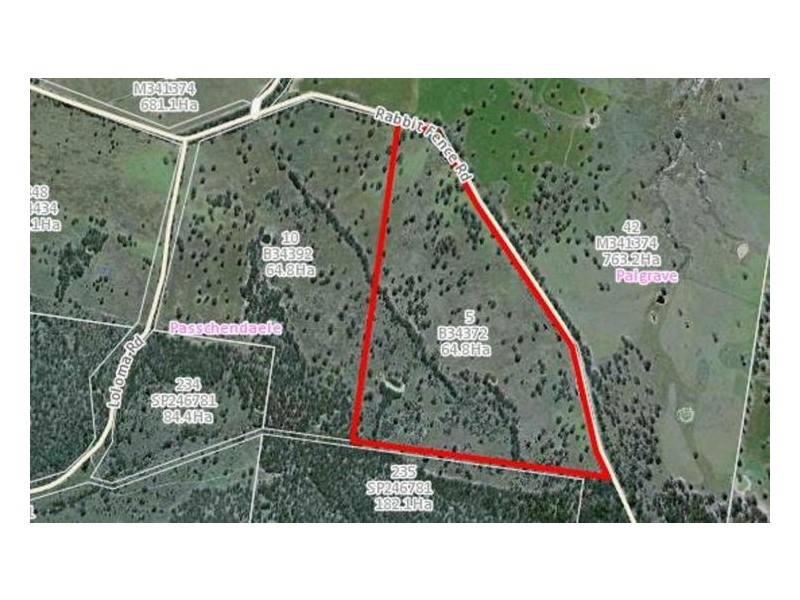 Lot 5 Rabbit Fence Road, Dalveen QLD 4374