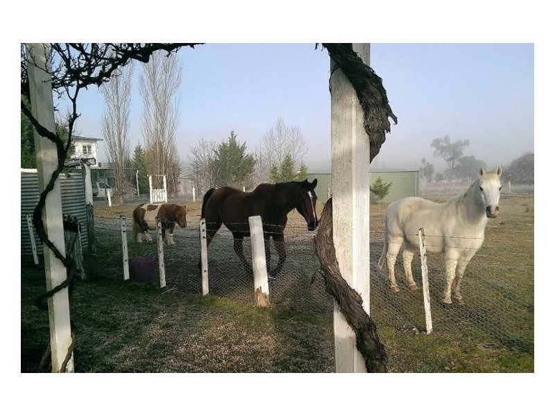 496 Texas Road, Broadwater QLD 4380