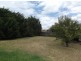 75 Sugarloaf Road, Stanthorpe QLD 4380
