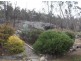 5 Minna Street, Stanthorpe QLD 4380