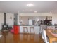 586 Texas Road, Stanthorpe QLD 4380