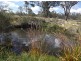 586 Texas Road, Stanthorpe QLD 4380
