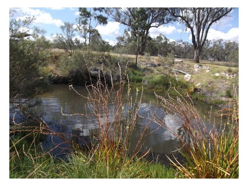 586 Texas Road, Stanthorpe QLD 4380
