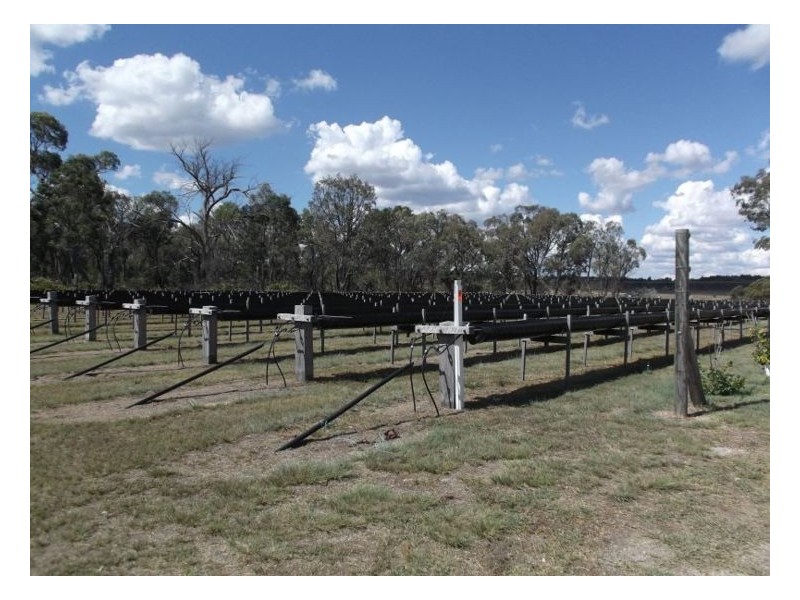 586 Texas Road, Stanthorpe QLD 4380