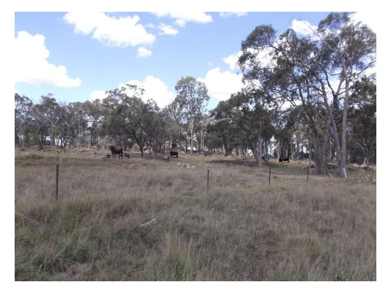 586 Texas Road, Stanthorpe QLD 4380
