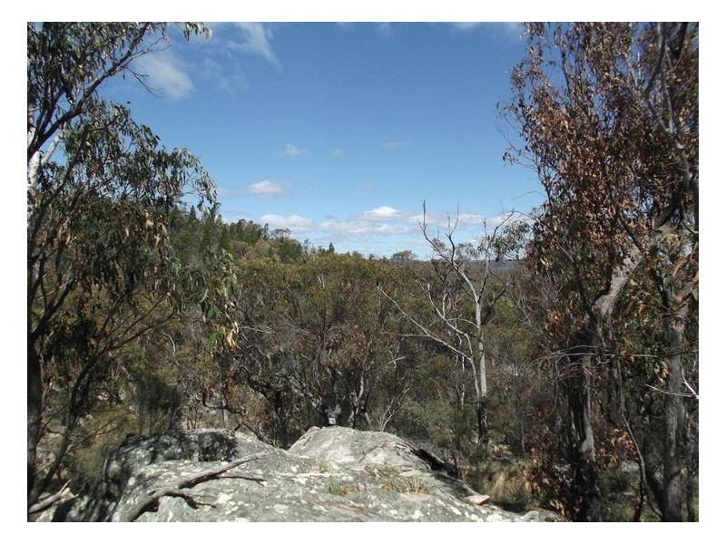 170 Unold Lane, Dalcouth QLD 4380