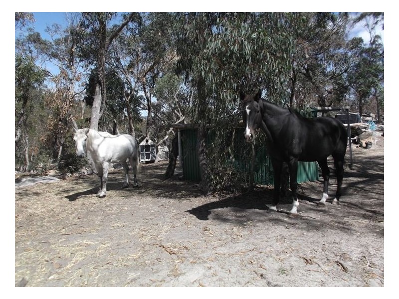 170 Unold Lane, Dalcouth QLD 4380