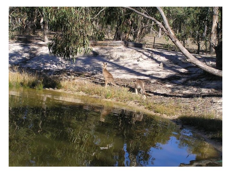 1512 Texas Road, Greenlands QLD 4380