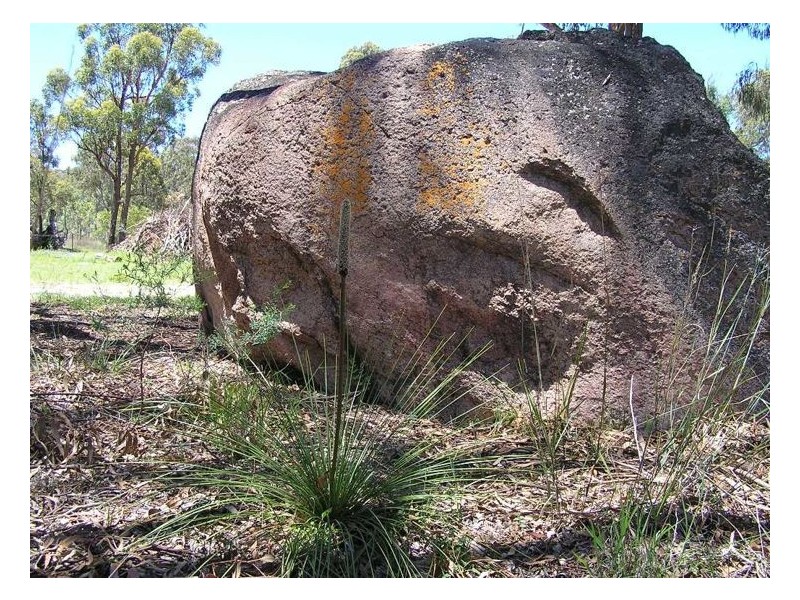 1512 Texas Road, Greenlands QLD 4380