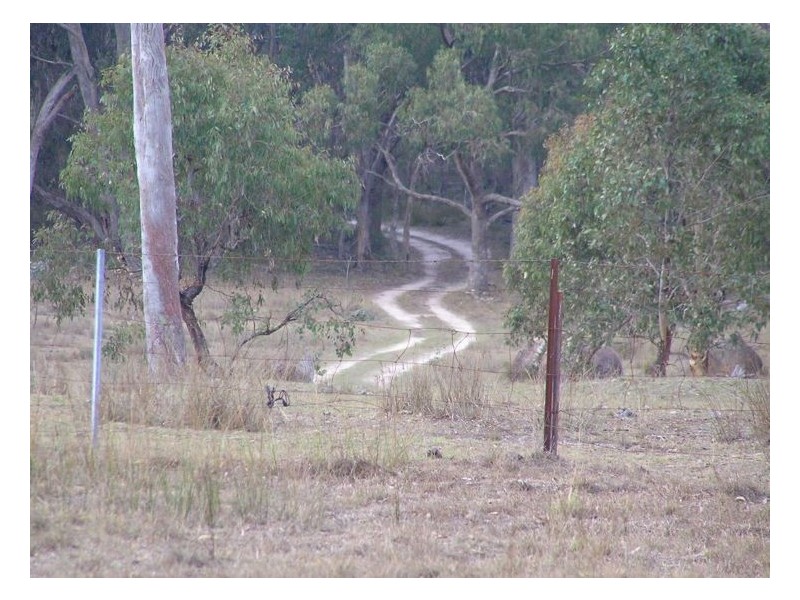 1512 Texas Road, Greenlands QLD 4380