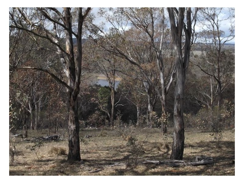 358 Eukey Road, Stanthorpe QLD 4380