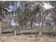 358 Eukey Road, Stanthorpe QLD 4380