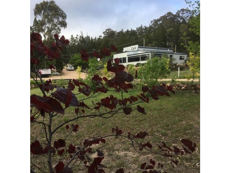 311 Stabiles Road, Glen Aplin QLD 4381