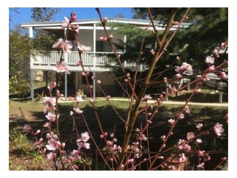 311 Stabiles Road, Glen Aplin QLD 4381