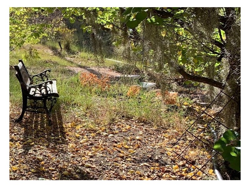 311 Stabiles Road, Glen Aplin QLD 4381