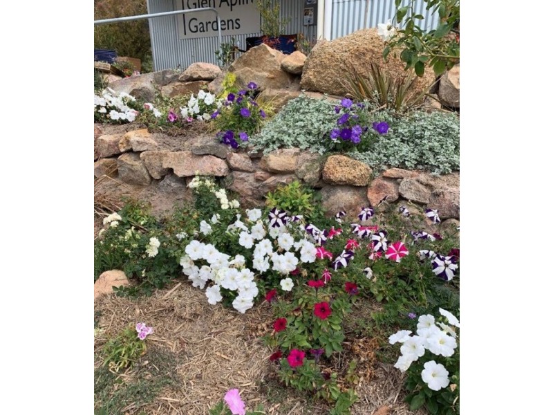 311 Stabiles Road, Glen Aplin QLD 4381