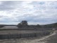 Stanthorpe QLD 4380