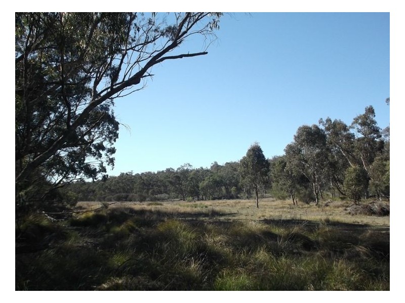 109 Old Caves Road, Applethorpe QLD 4378