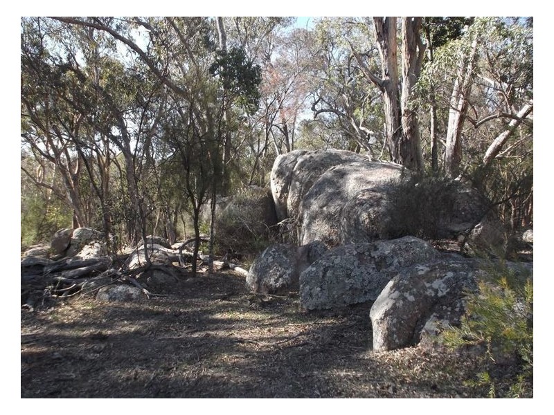 109 Old Caves Road, Applethorpe QLD 4378