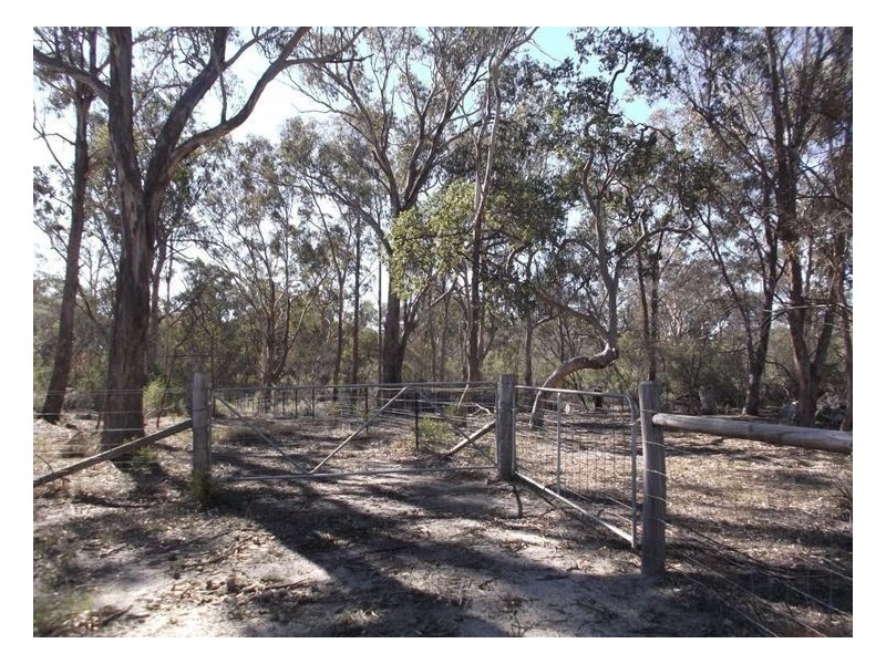 109 Old Caves Road, Applethorpe QLD 4378