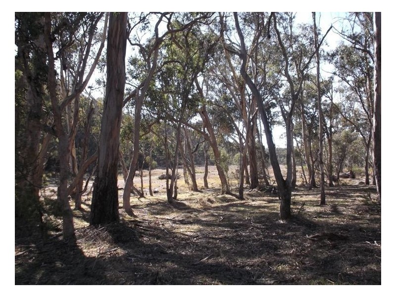 109 Old Caves Road, Applethorpe QLD 4378