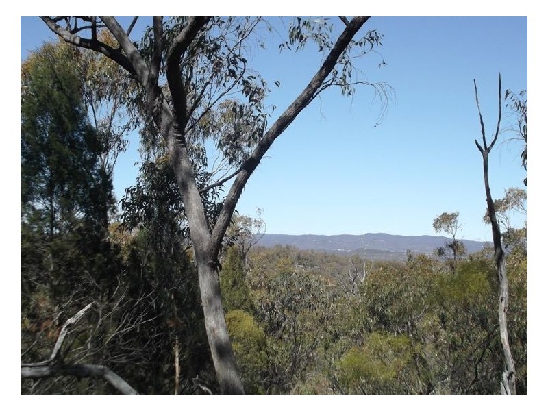 Lot 31 Glenlyon Drive, Stanthorpe QLD 4380