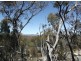 Lot 31 Glenlyon Drive, Stanthorpe QLD 4380